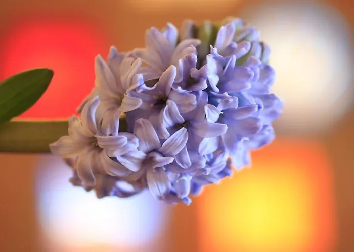 호텔 Christina 제펠드 인 티롤