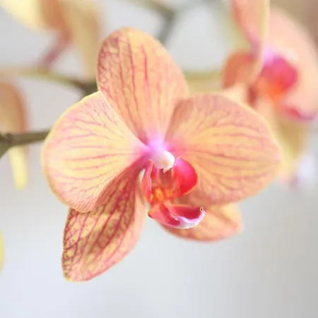 Szálloda Christina 3*